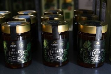 40683a66-72e2-4ff0-b9b9-d347db851b35