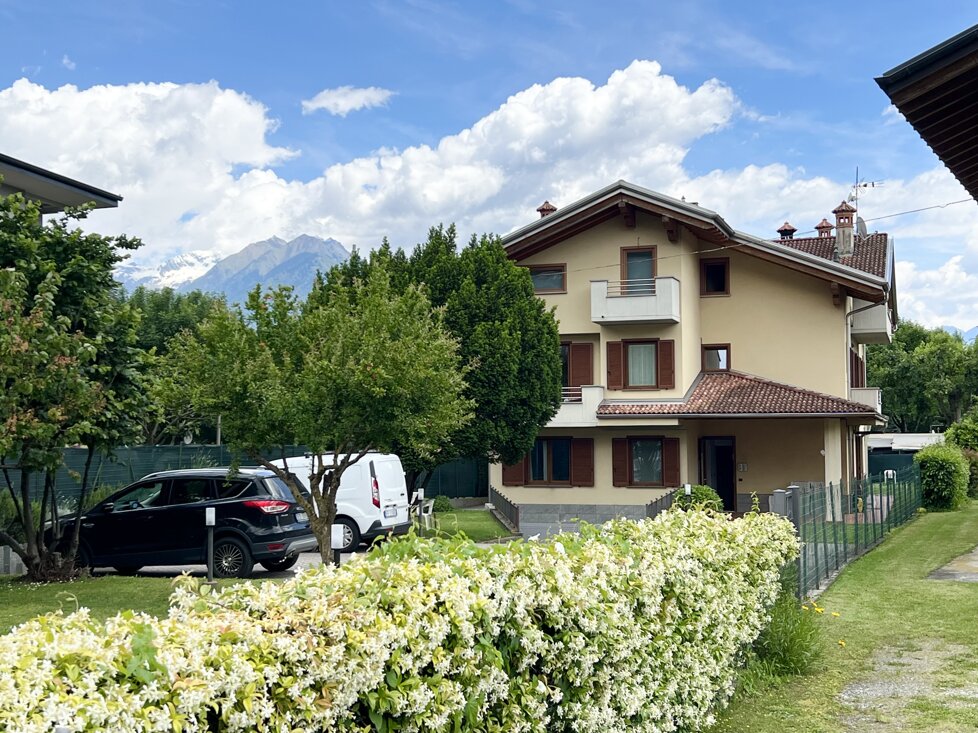 img_4399.jpeg img_4399.jpeg