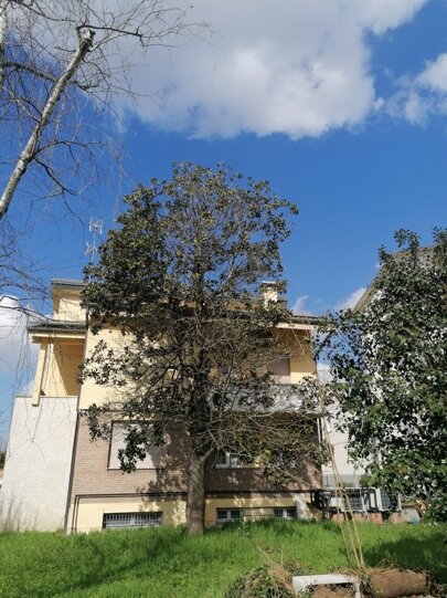 magnolia.jpeg magnolia.jpeg