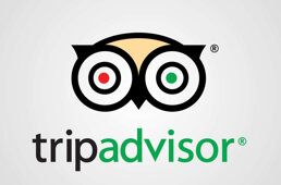 significato-logo-tripadvisor.jpeg