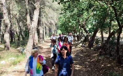 Immagine di un percorso terapeutico in foresta