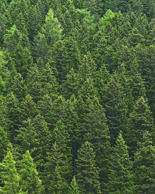 immagini sito tiziana