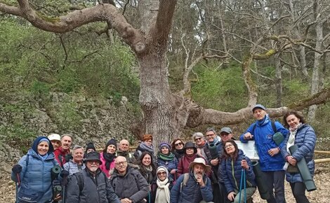 JTdCJTIyaXQlMjIlM0ElMjJFc3BlcmllbnphJTIwZGklMjB0ZXJhcGlhJTIwaW4lMjBuYXR1cmElMjBhbGwlRTIlODAlOTlpbnRlcm5vJTIwZGklMjB1bmElMjBmb3Jlc3RhJTIyJTdE