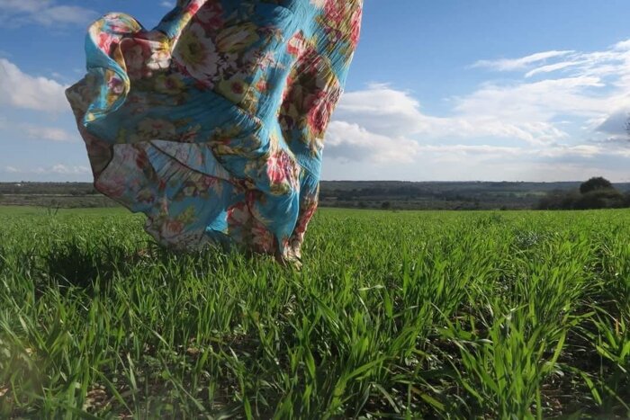 img_1855.jpeg img_1855.jpeg