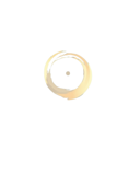 logo Tiziana Castellano Psicologa e Psicoterapeuta online e a Bari