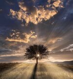 larchetipo-del-padre-seminario