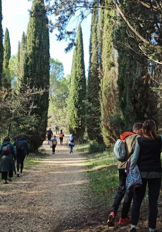percorsi terapeutici in foresta.jpeg