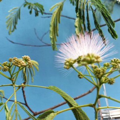 Simbolo del primo passo verso un percorso di terapia