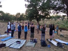 percorsi terapautici in foresta.jpeg