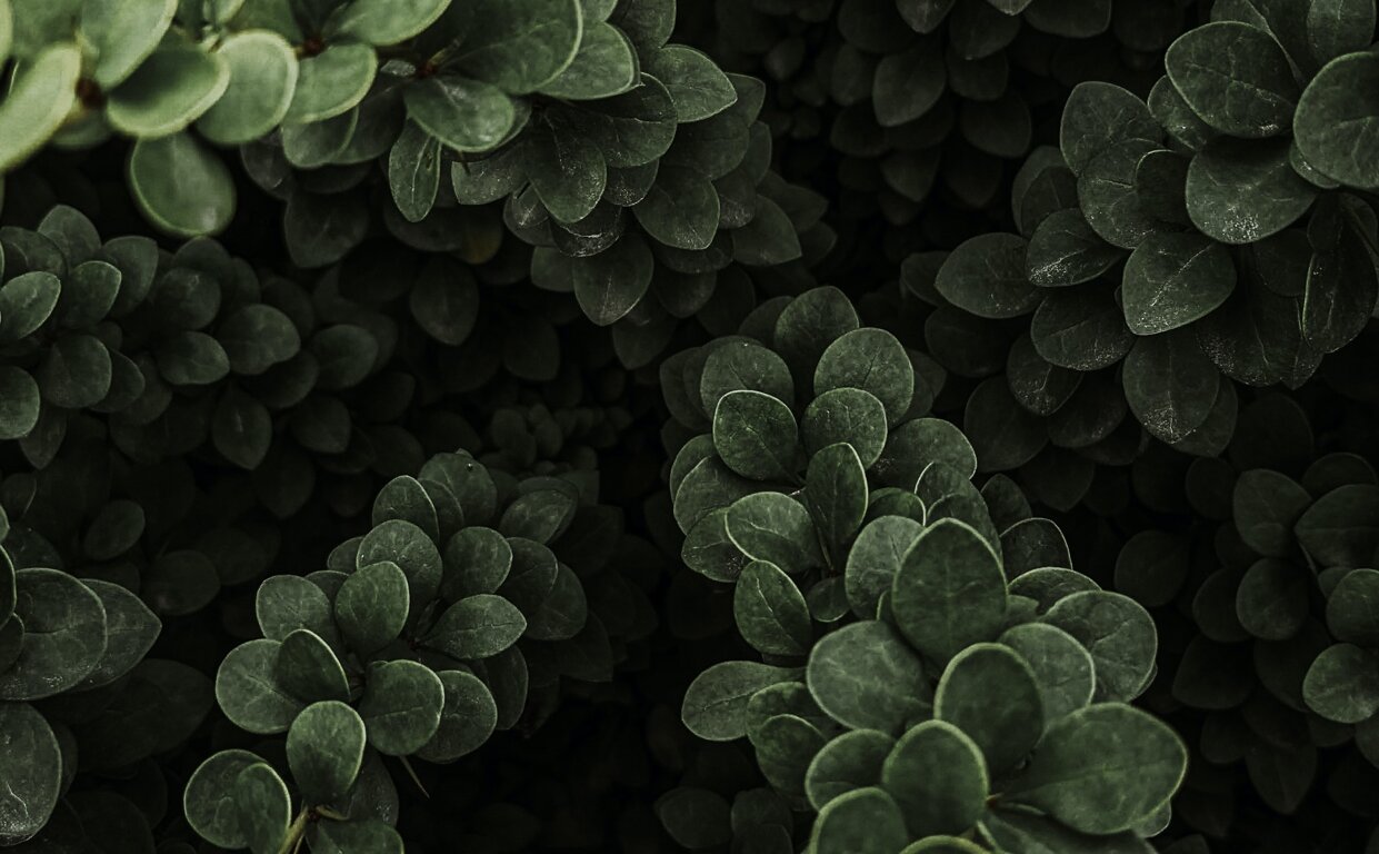 effc503a-34d8-4e85-b9b2-06d12efa1610