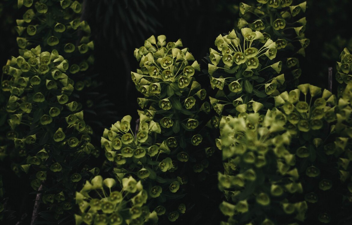 0b5f6030-1935-4c9d-b980-60cfc726bee4.jpeg 0b5f6030-1935-4c9d-b980-60cfc726bee4.jpeg