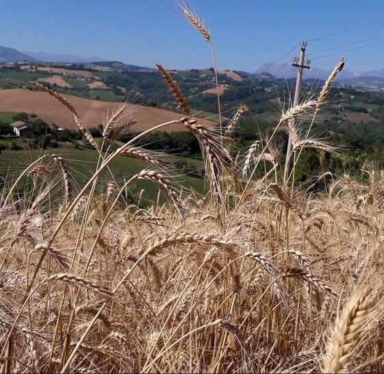 86ad4750-3ea2-4827-be58-005d9964bbf9.jpeg 86ad4750-3ea2-4827-be58-005d9964bbf9.jpeg