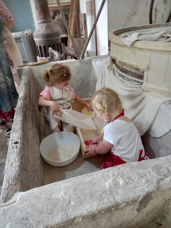 0d5cd6b6-985b-480e-ac67-75726868db3b 0d5cd6b6-985b-480e-ac67-75726868db3b