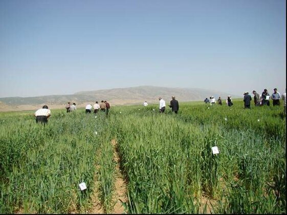 428e9b7b-7c2b-4d60-a12d-3bda7b3d4534.jpeg 428e9b7b-7c2b-4d60-a12d-3bda7b3d4534.jpeg