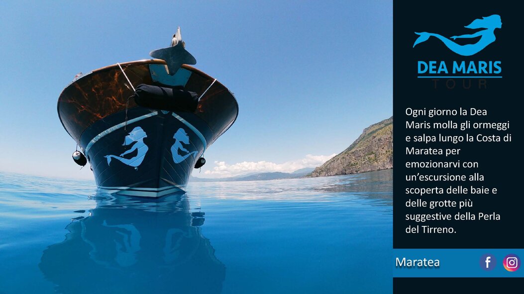 6b10e156-f499-4d77-8abf-7adc1573037f