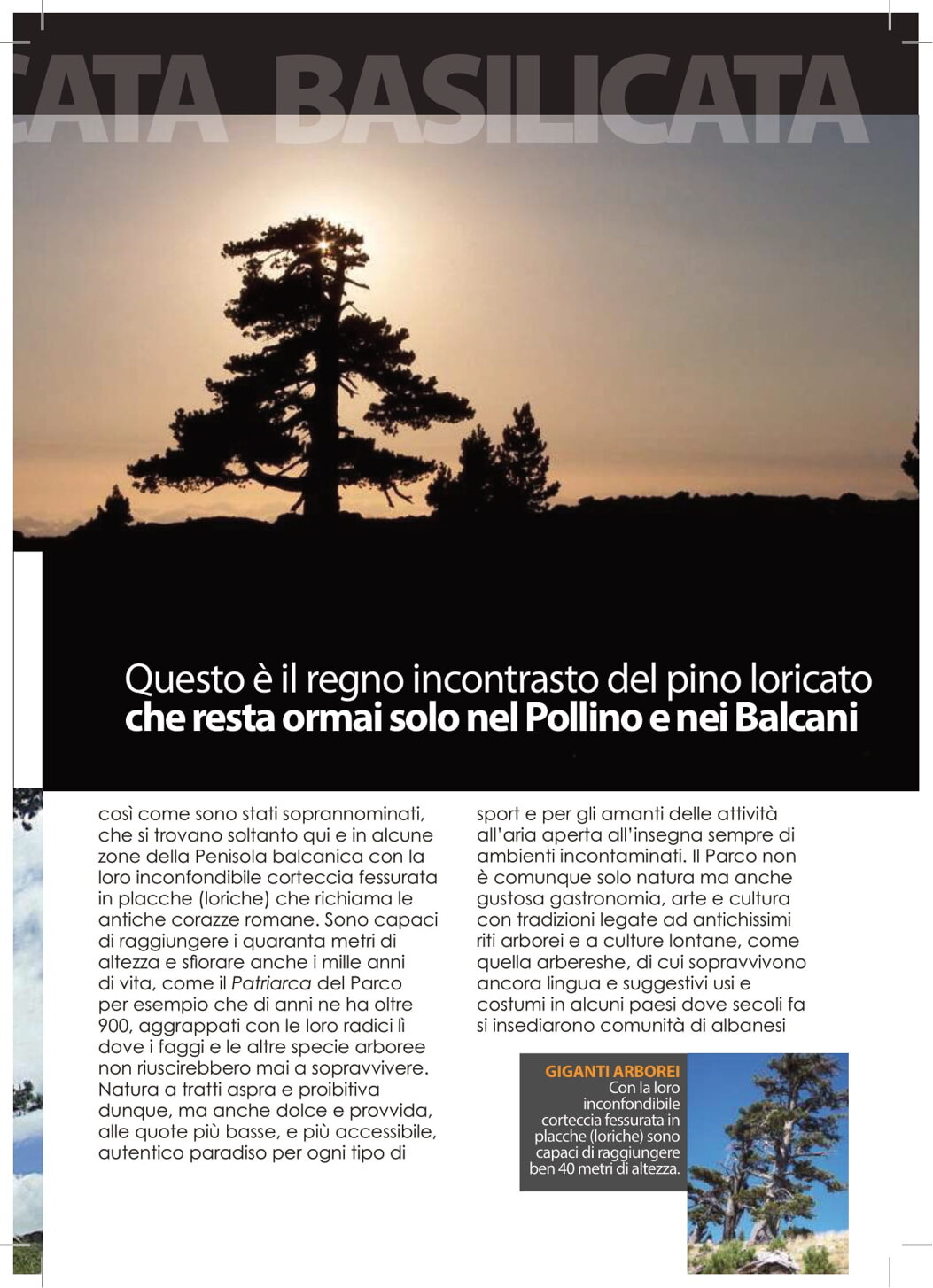 216e34eb-80d5-4852-9890-44ad29f38b73