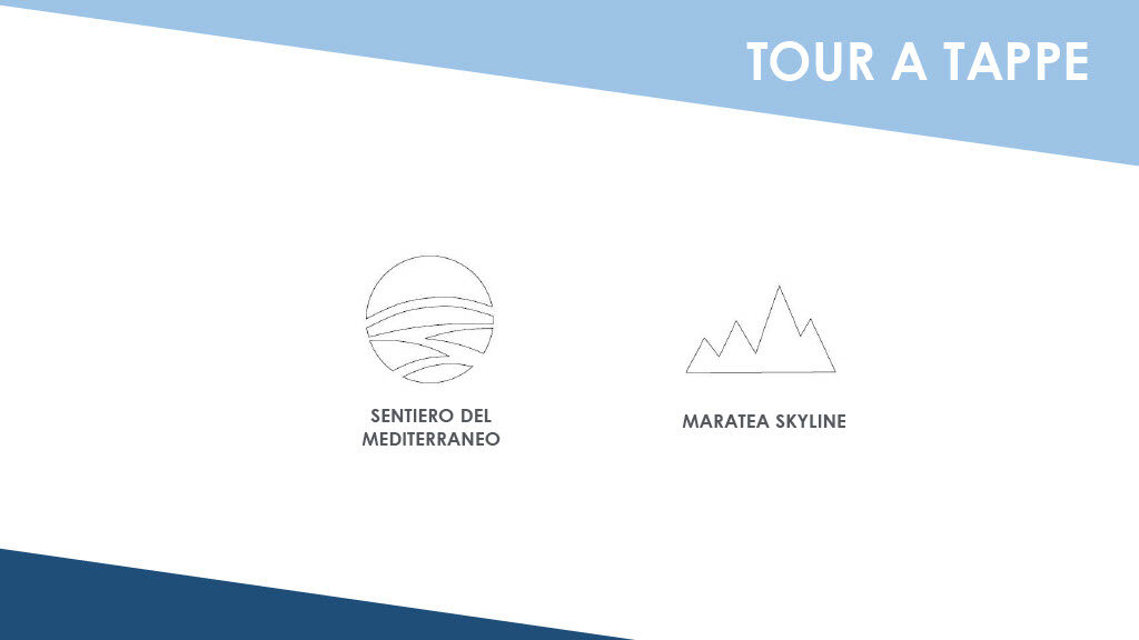 cb18c4d6-5944-4976-8e68-3e562ca853e2