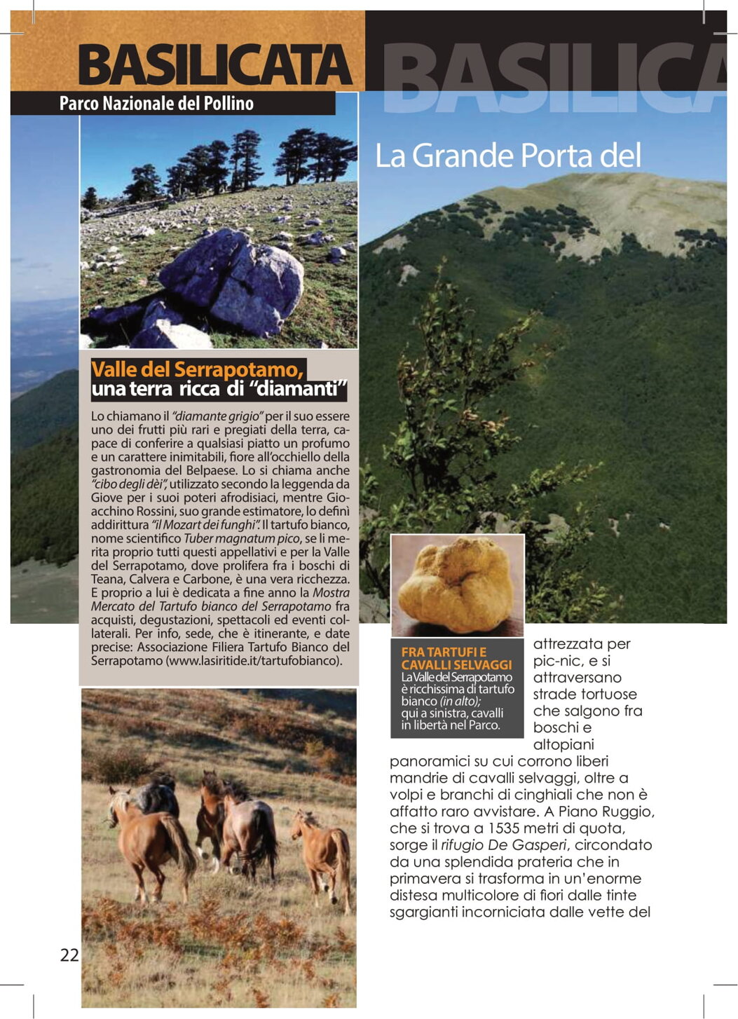 eee035f8-7b40-4606-a576-29dffd5de5f6