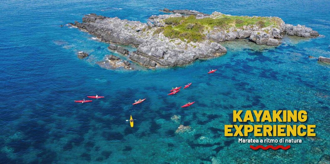 271dc455-dbd8-4d9c-8d7c-0b8a824f222d