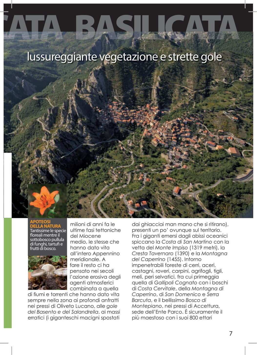 f5a01f02-77bf-444a-b8bc-481ec07880ae