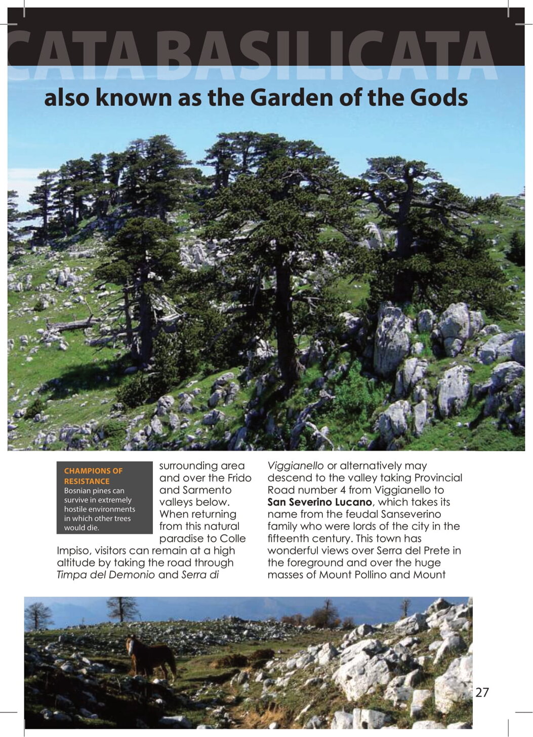 7ef6a0f6-2a42-4900-9b3f-9888840c77df