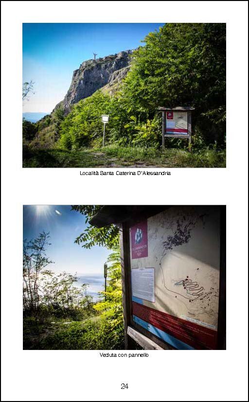 dd6eb203-c971-429f-aaa6-79f5905ede2f