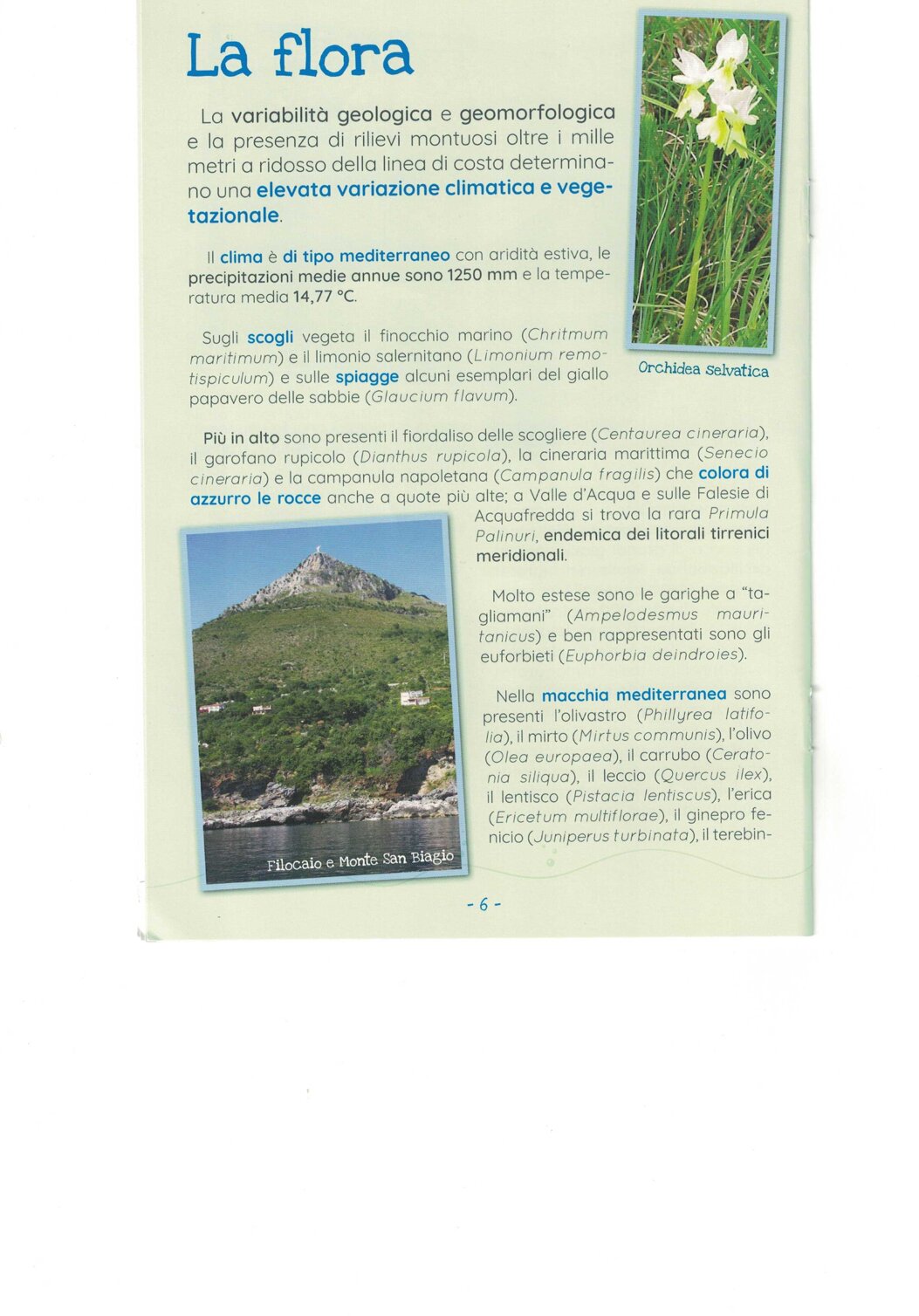 6aef0c4f-33eb-40b2-9777-1b8181b5a74a