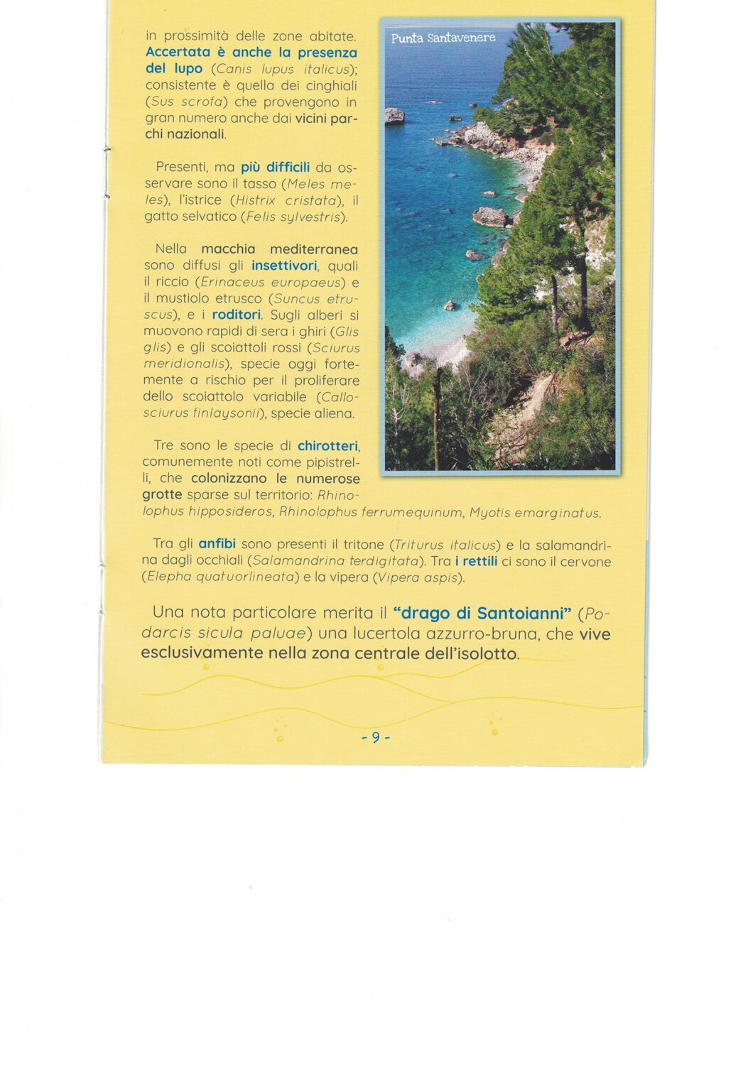 35e0274c-d260-4d5f-bb22-044b67a6013d