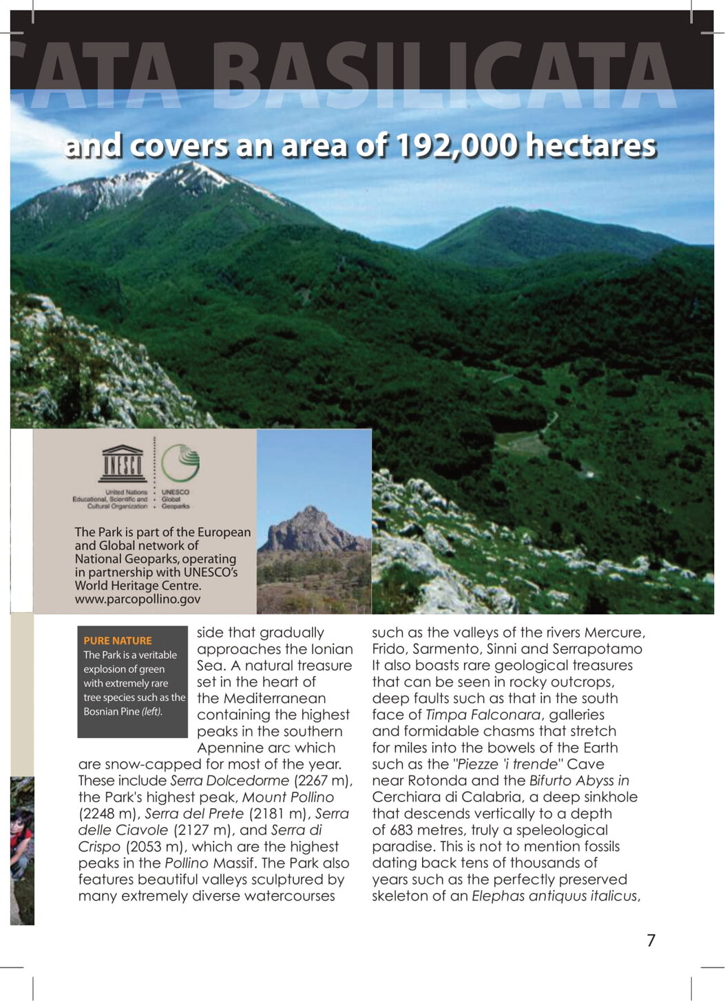 384aa9a4-85b0-4114-880b-d9be499f4bef