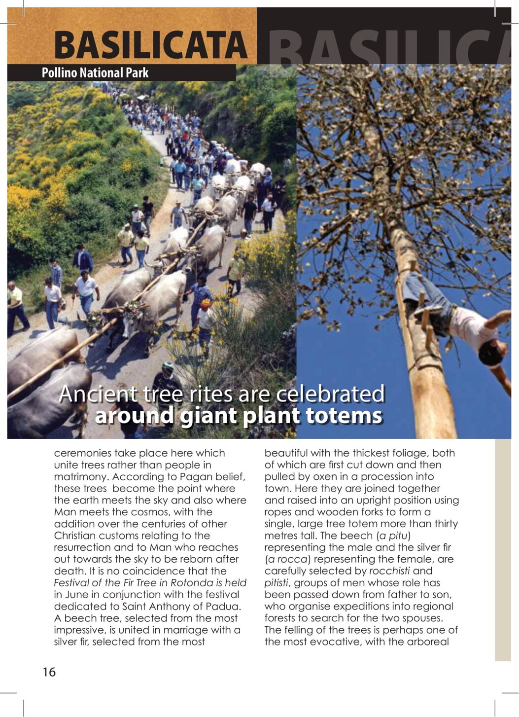 22b5e7fc-d810-4f74-98c8-aad47e0c4850