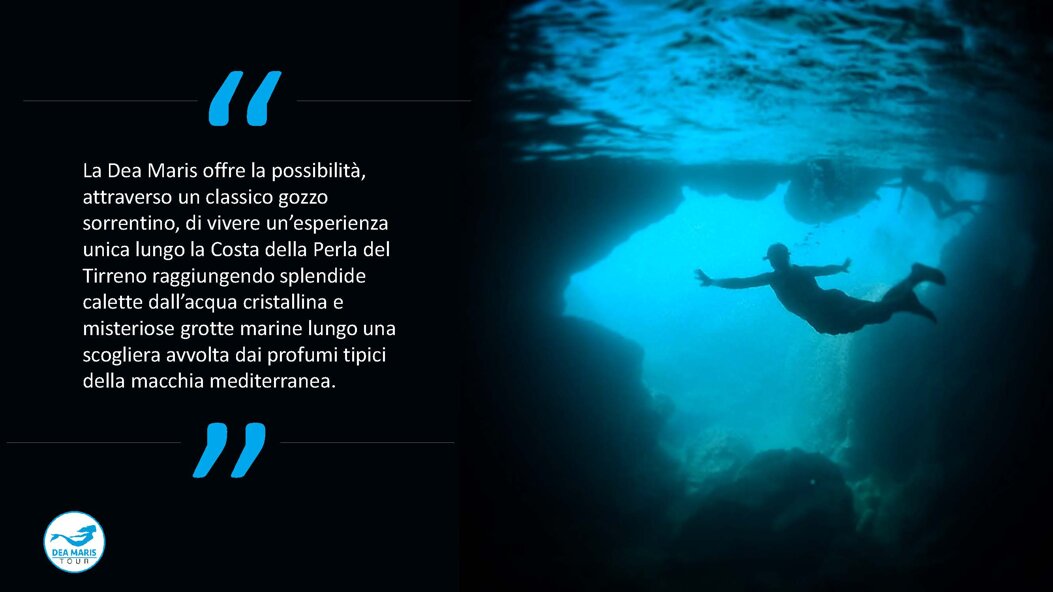 168c64e7-7fbd-40d6-b65b-f1aa6fe79b7f