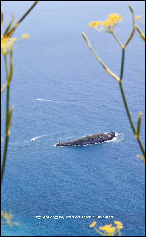 2e5a5aa6-e26d-4482-9b2e-16a5181b9704