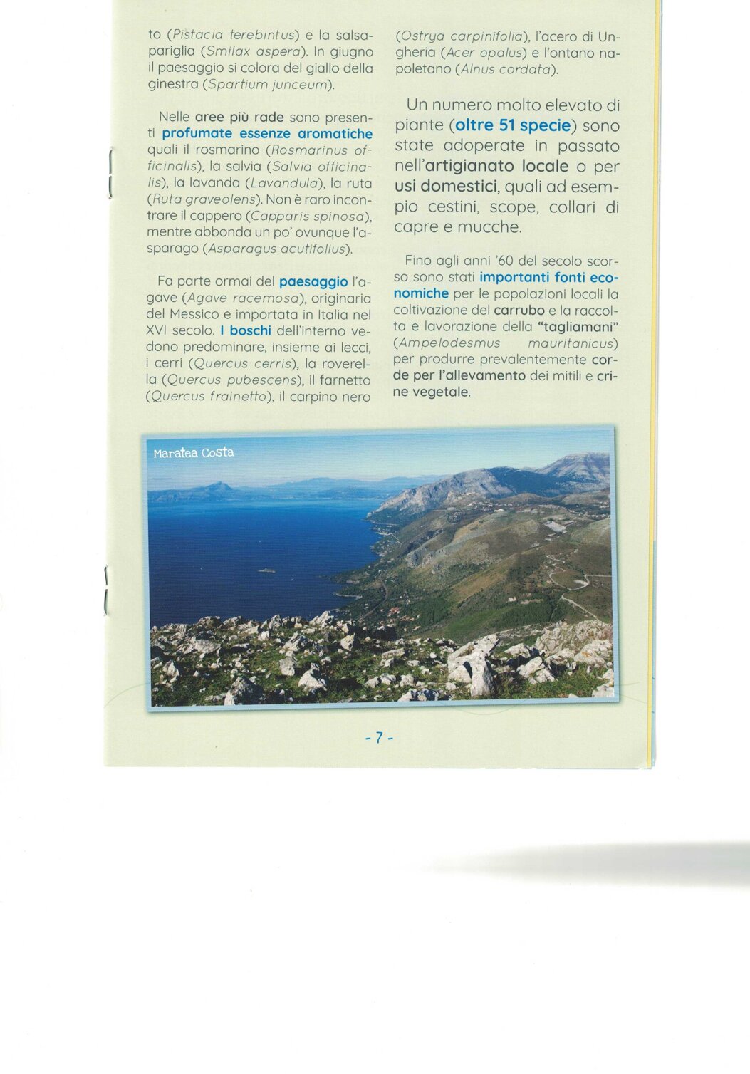 d6e4ed46-d3ce-4f5b-94df-62f9151df2c3