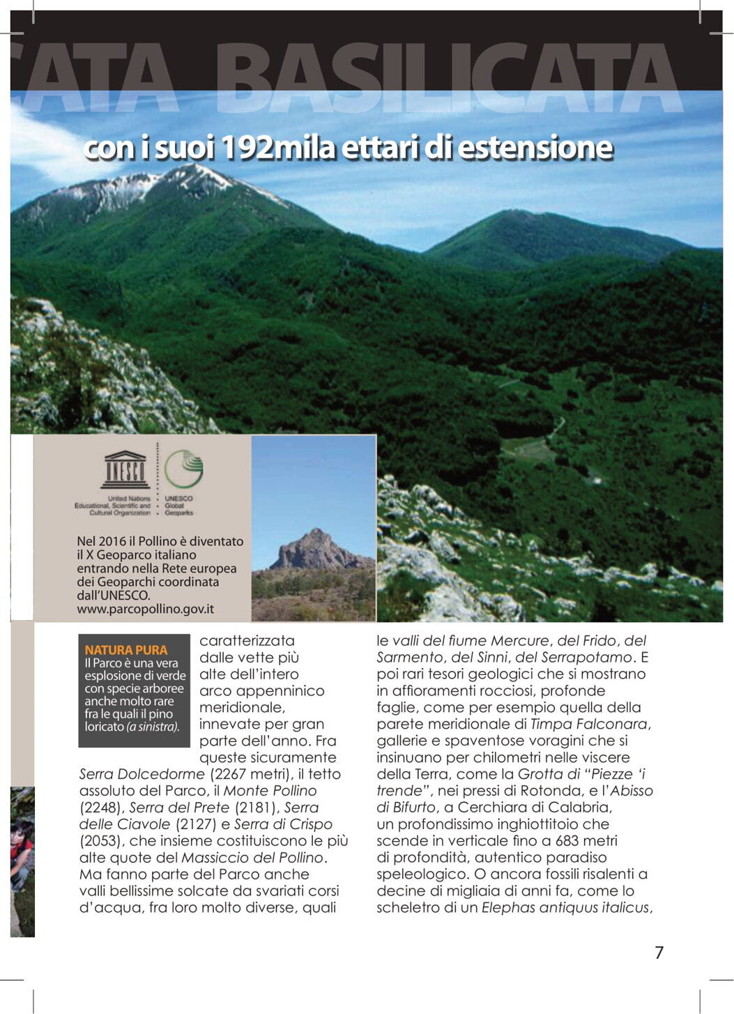 917f0137-0640-477a-89b5-94dee5ca5a06