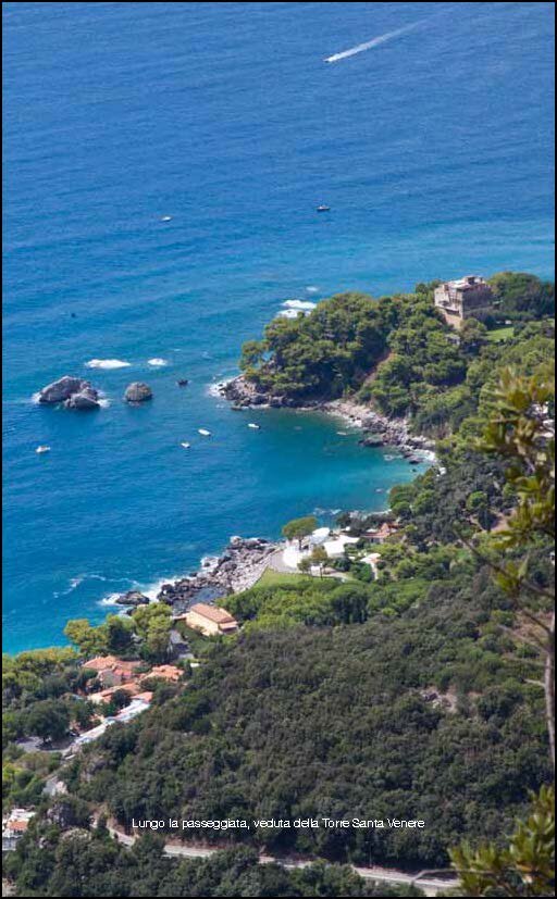 55bdcd8d-2ba4-4793-b09f-c6f4d416b92f