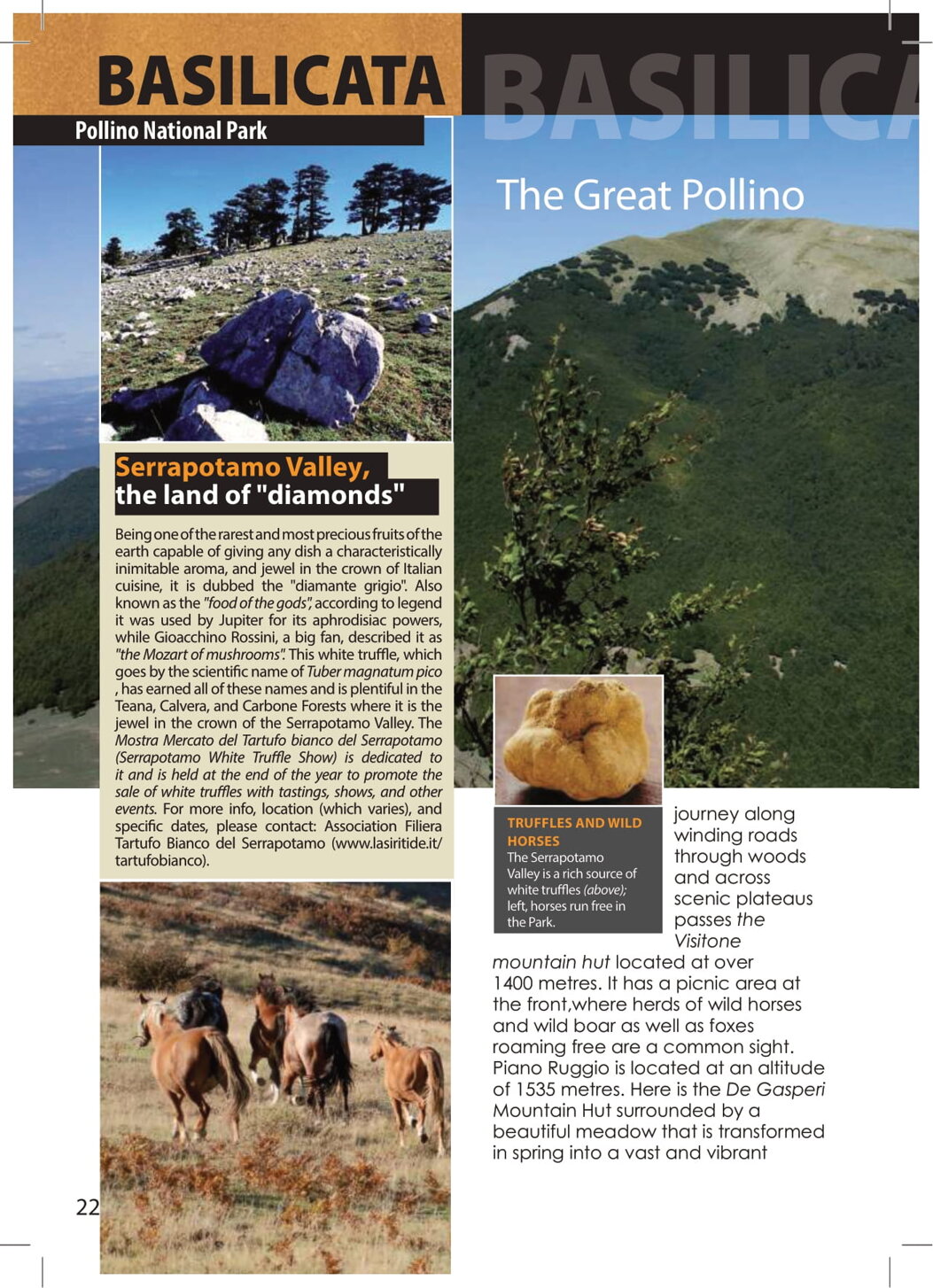 7a61033c-23bf-4ddf-a6a6-5e98f11ca47f