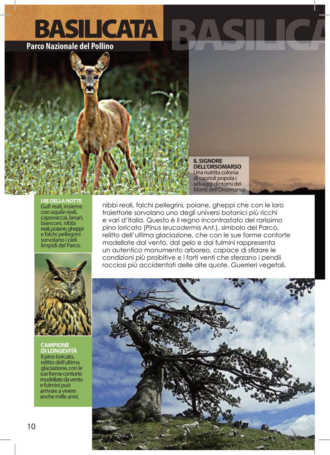 897556b0-ea72-48fc-9a78-d215bf4170e2