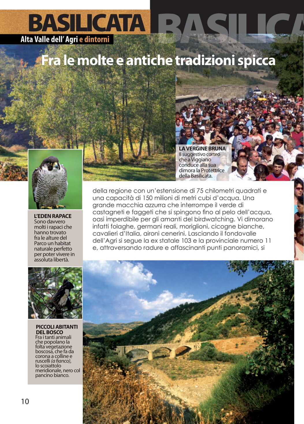 e328ec9a-e6ca-4094-92c0-552e631010c9