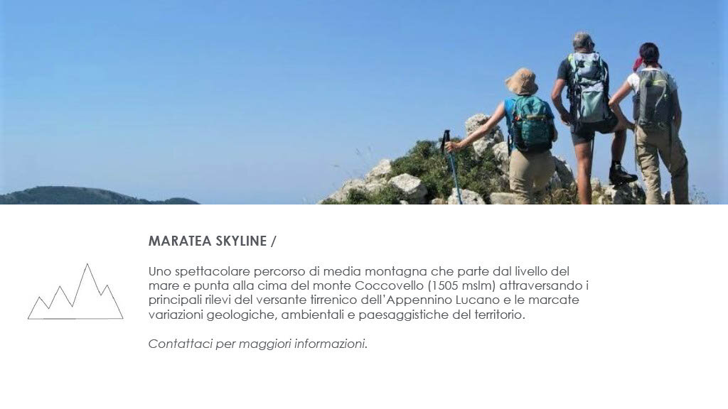 a8c4c51a-d8d5-42da-b6b1-3a13ce0ea798