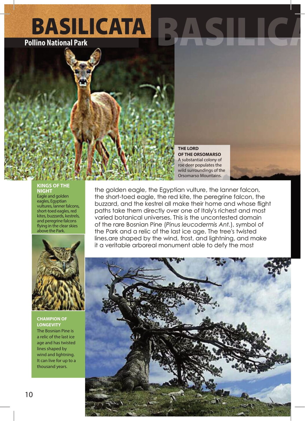 a91d52a5-59e6-4518-820b-5415bc2142bf