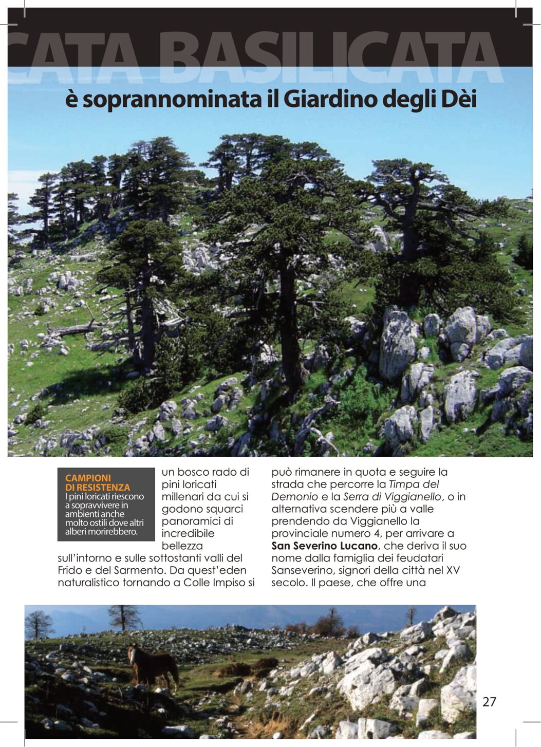 a5ea1aec-b7ca-4d18-b37d-fd71c45ba9af