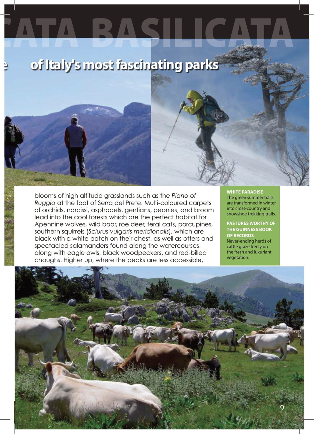 8cce06bc-7425-4c83-93f2-a53d66321f2f