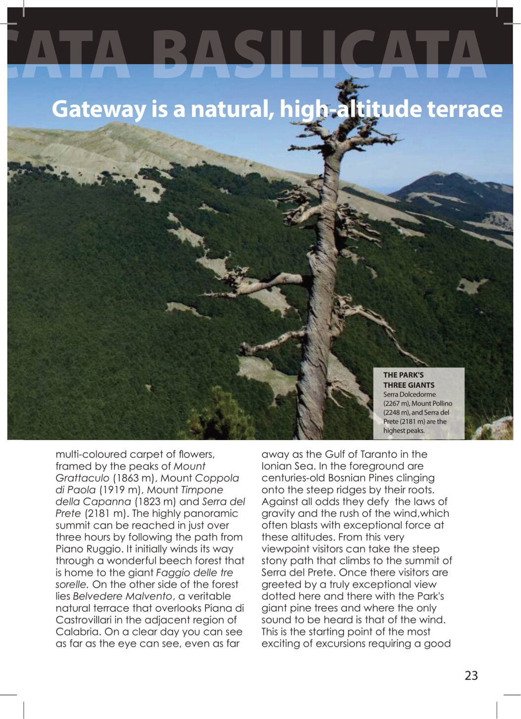 a9aa1d62-1ea5-4422-87e5-ef21ecd962bf