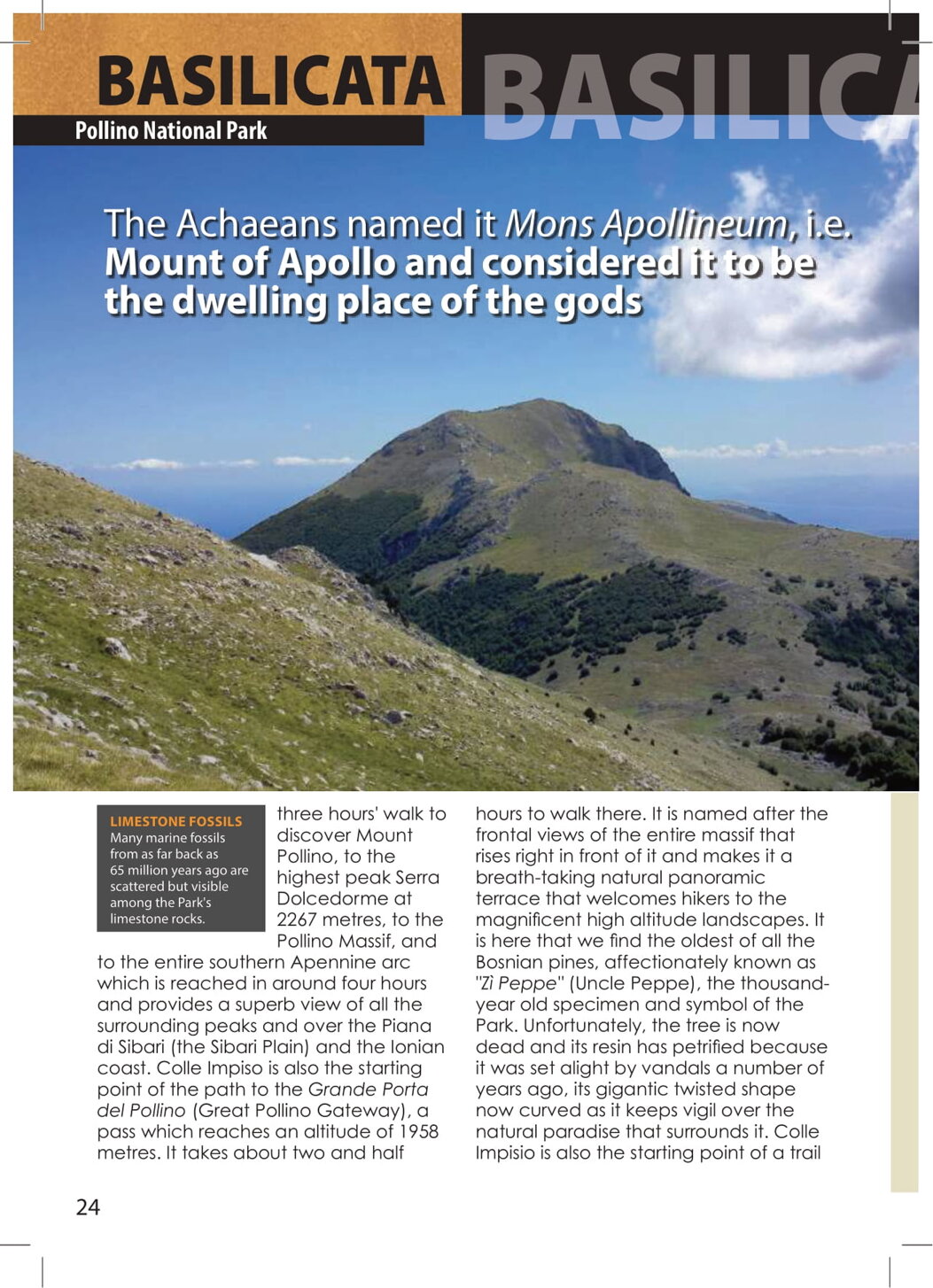 b6efba4f-3b25-45a8-96a3-6b8ef335c9eb