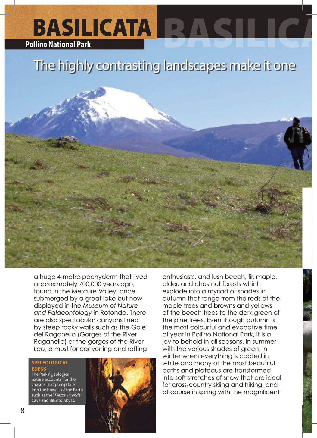 1194a946-c9d0-45b1-b3dc-7b9e82e63fd0