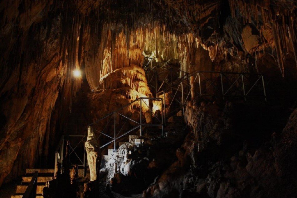 225cf1d4-99b2-437e-b0fa-9b4e69f5f4b2