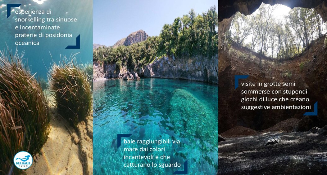 84c8c050-05b5-40fe-aa72-fcacd493613d