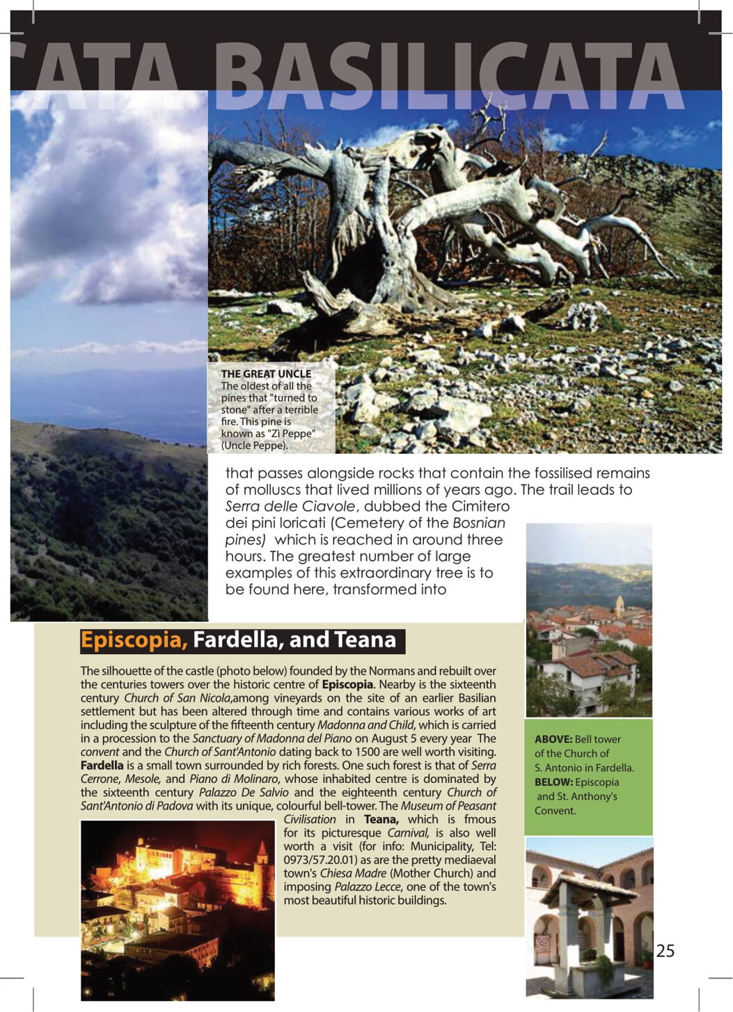 c260c528-86a3-4116-b484-853224ebd80a