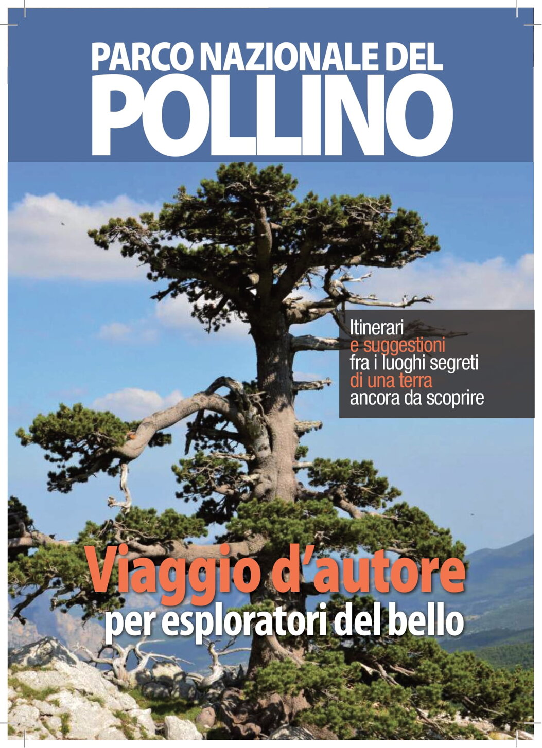 13980444-c256-4e3e-8d04-8c667ac26d0c