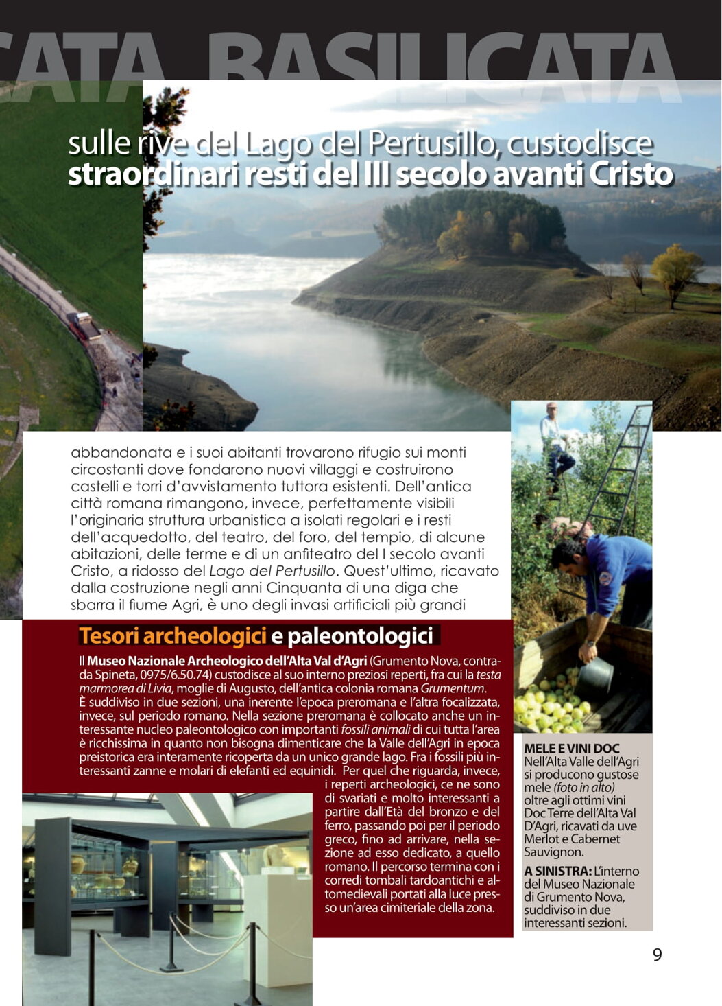 d9b74ec0-b3b2-4470-b146-d735f30b0059